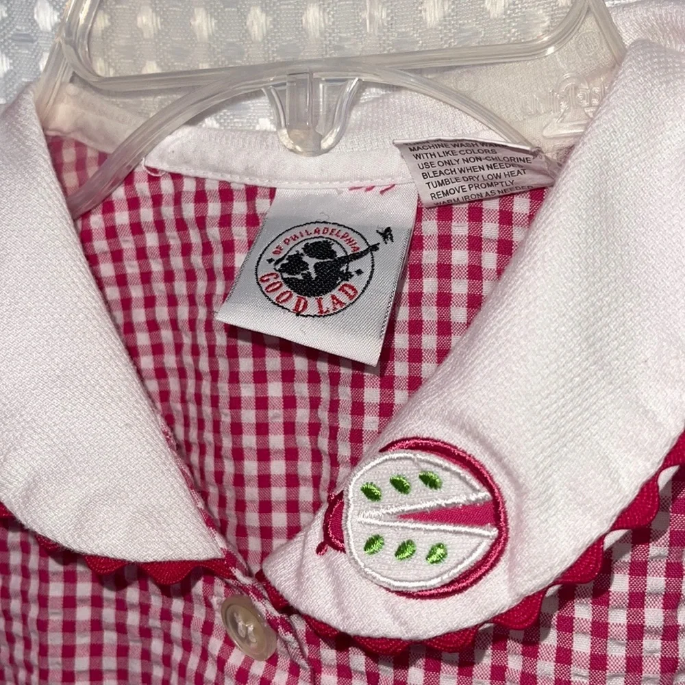 Kids Girls Clothes 6X GoodLad Watermelon Ladybug Dress - Picture 3 of 5